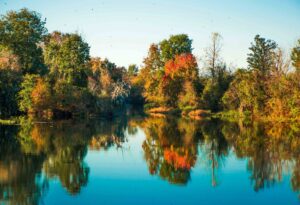 Fall Foliage Rapids - Marilyn Botta Photography