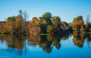 Savannah Rapids Foliage - Marilyn Botta Photography