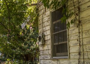 Window - Marilyn Botta Photography